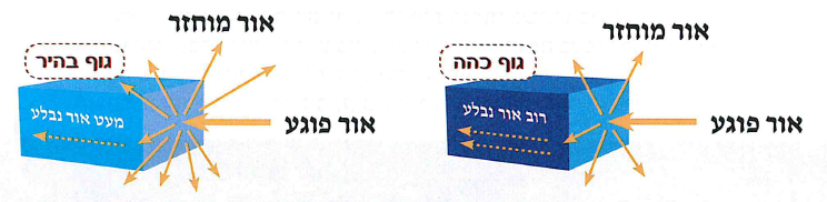 (בספר תרשים, היעזרו במנחה:) גוף כהה וגוף בהיר